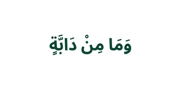 الجزء 12 - وَمَا مِن دَآبَّةٍ