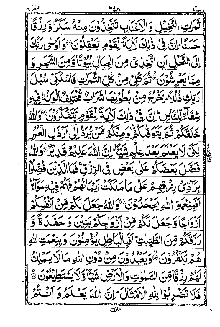 سورة النحل الصفحة 8