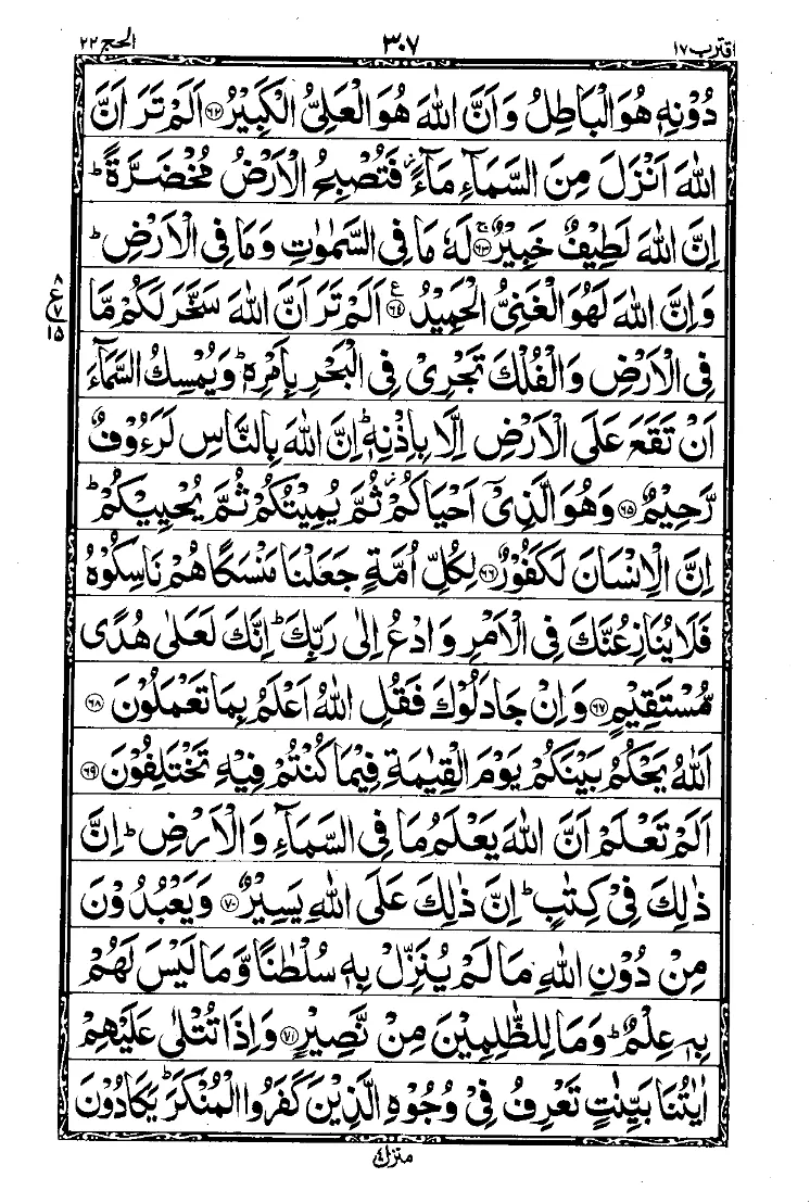 سورة الحج الصفحة 8