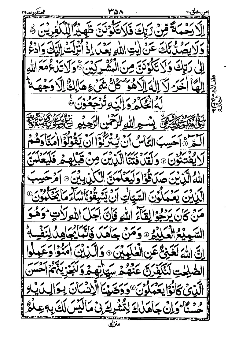 سورة القصص الصفحة 11