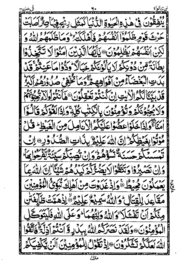 سورة آل عمران الصفحة 15