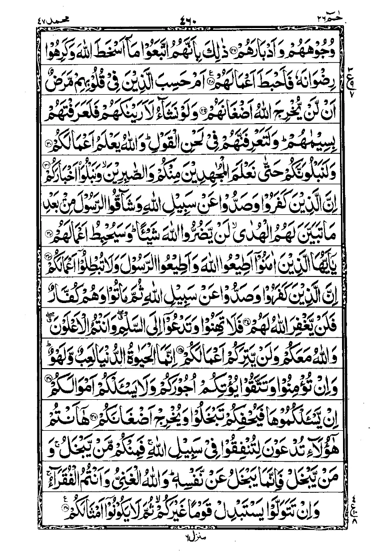 سورة محمد الصفحة 4