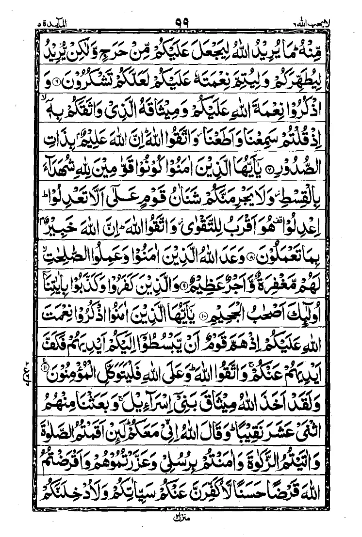 سورة المائدة الصفحة 3