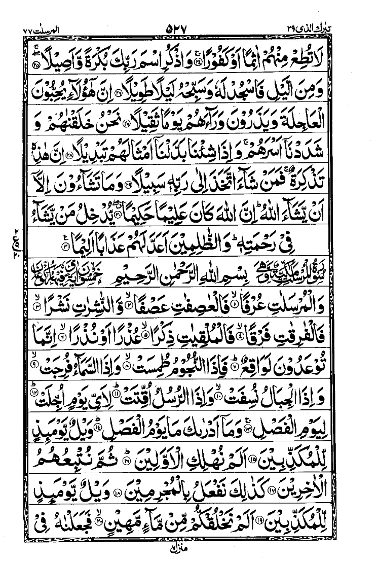 سورة الإنسان الصفحة 3