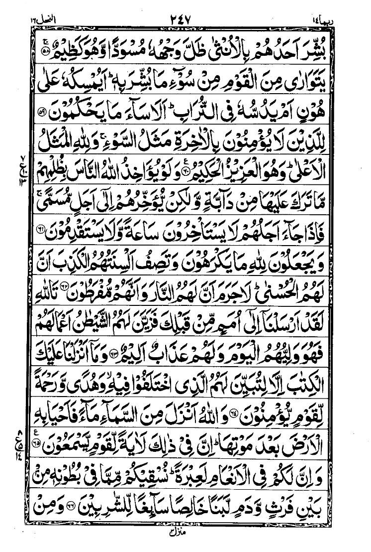 Surah An-Nahl Page 7